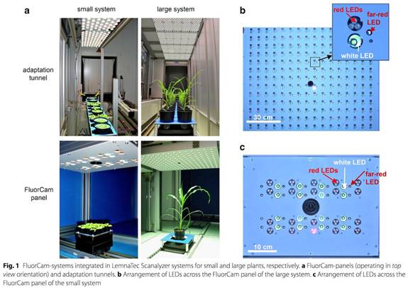 ../../../Ʒ/ӫ⼼/PSI/Phenotyping/ο/PlantScreenο/IPK-2017/0101sm.jpg